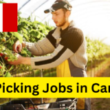 fruit picking jobs for afghan people in canada